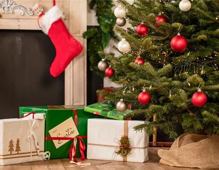 Spot an! So wird der Weihnachtsbaum zum Hingucker